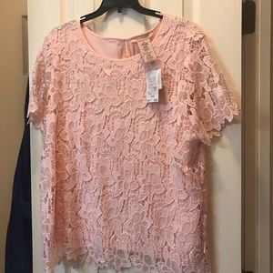 Philosophy Pink Lace blouse NEW